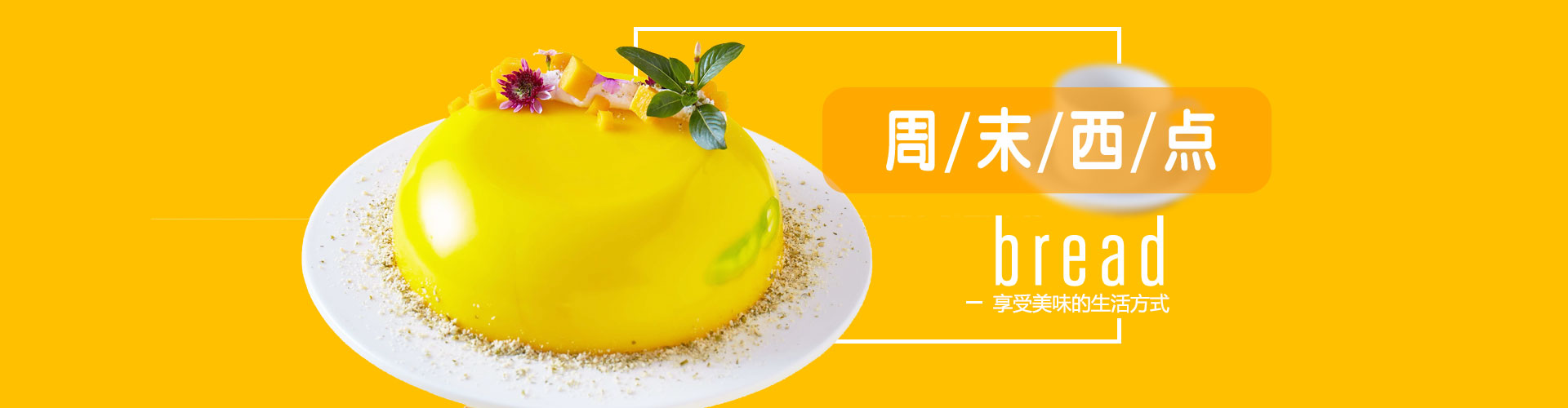 山东新东方专业设置