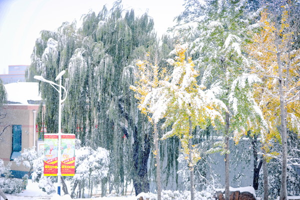 初雪中的山东新东方校园